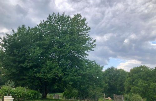 Saint-Barbant Bed & Breakfast | Le Cerisier Saint-Barbant