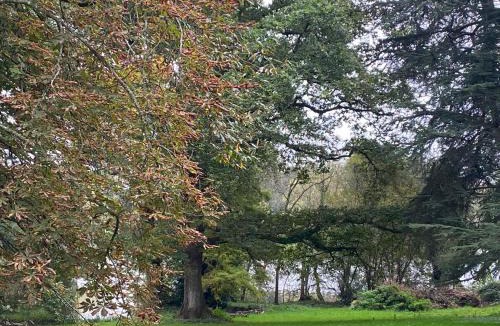 Suce-sur-Erdre House | Le Château de John Miles au bord de l’eau
