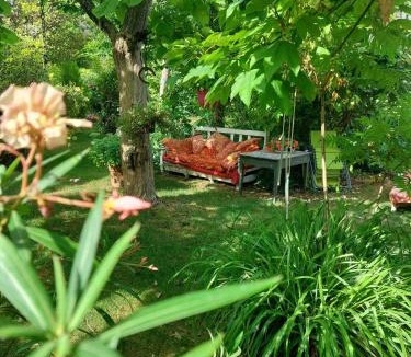 Derce Bed & Breakfast | Le chêne