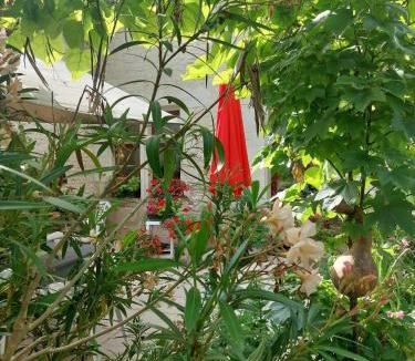 Derce Bed & Breakfast | Le chêne