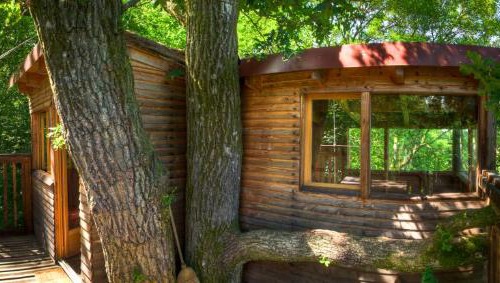 Signy-lAbbaye Bed & Breakfast | Le Chêne Perché