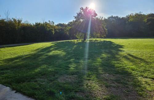 Saint-Sulpice-de-Pommeray Ski Chalet | Le chalet