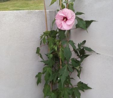 Lapenty Bed & Breakfast | Le Chalange