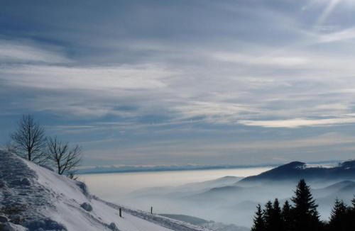 Oderen Ski Chalet | Le Chalet Bel Air