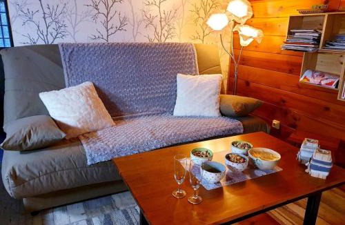 Weiterswiller Ski Chalet | Le Chalet Cosy piscine et spa