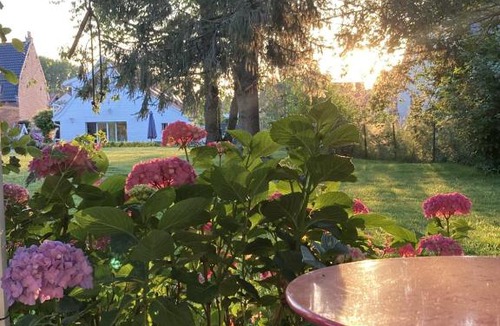 Beuvry-la-Foret Bed & Breakfast | LE CHALET de LA LONGERE