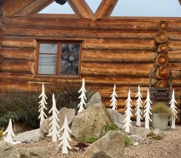 Erckartswiller Ski Chalet | Le Chalet de Lyne