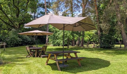 Folles House | Le chalet des apiculteurs