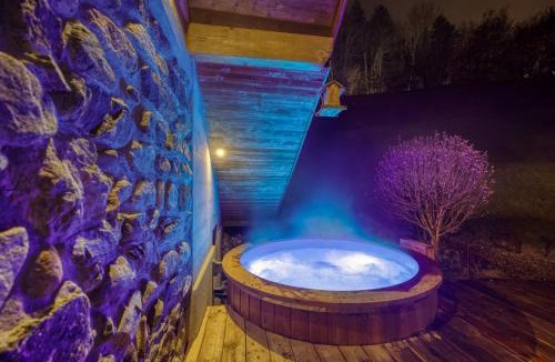 Toiny Ski Chalet | Le Chalet des Eaux - Thermes - Ski