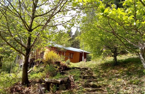 Treignac Ski Chalet | Le chalet du lac