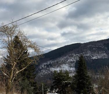 Lutzelhouse Ski Chalet | Le Chalet