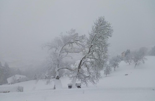 Sallanches Apartment | Le Chalet Vue Mont-Blanc
