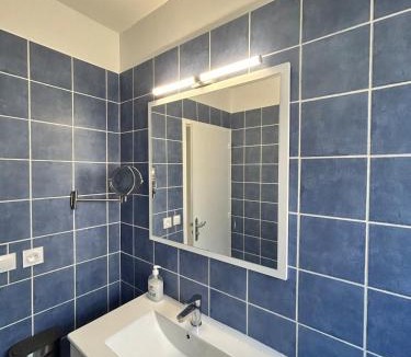 Roseraie Apartment | Le Chambéry 6p parking privé clim