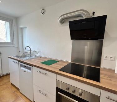 Roseraie Apartment | Le Chambéry 6p parking privé clim