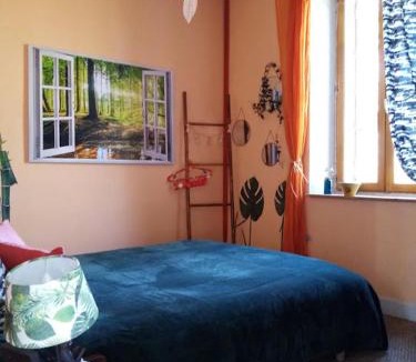 Massoules House | Le champ des étoiles