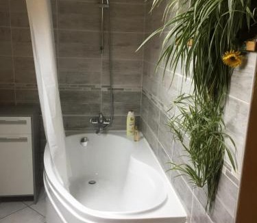 Fontaine-les-Clerval Bed & Breakfast | Le Chanois