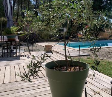 Villemoustaussou Bed & Breakfast | Le chant des cigales