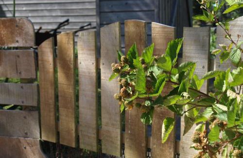 Plabennec Ski Chalet | Le Chant Des Mûres