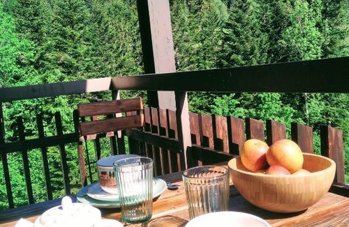 Saint-Pierre-de-Chartreuse Apartment | Le Charmant Som