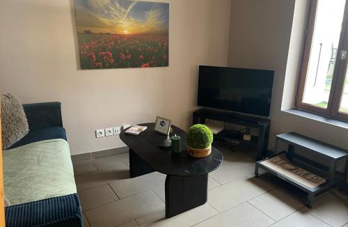 Roussillon-en-Isere Apartment | Le Charles IX