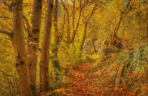 Barnas House | Le Charmelan