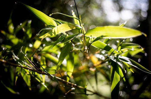 Versols-et-Lapeyre House | Le Chat Blanc Gîte