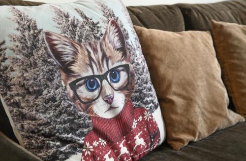 Saint-Pierre-d'Albigny Apartment | Le Chat De La Martine -Clim Parking