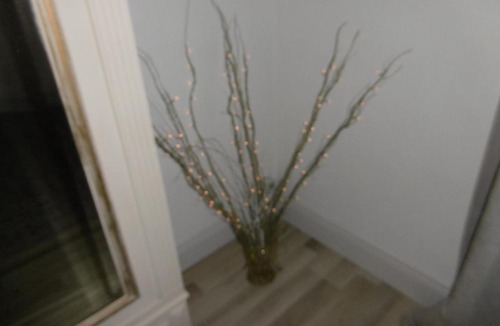 Chateauneuf-la-Foret Apartment | Le Chat Qui Peche Apartment