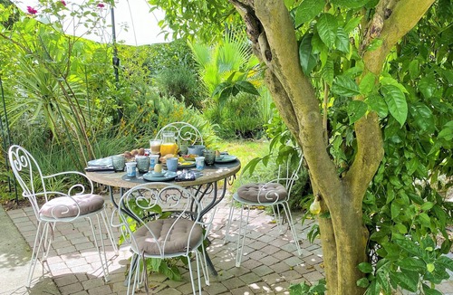 Saint-Andre Apartment | Le Chat Vert - Adults Only apartments