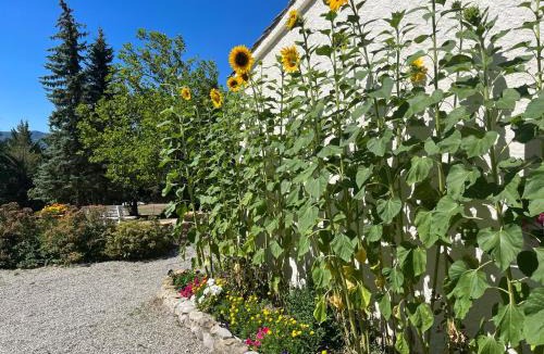 Serres Bed & Breakfast | Le Cheval Blanc