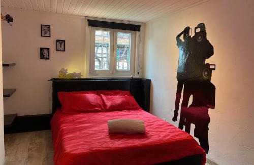 Soultz-sous-Forets Apartment | Le cinéma