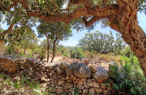 Monacia-d'Aullene Apartment | Le Cinto à Monacia Su