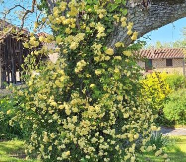 Astarac Arros en Gascogne Apartment | Le Clairat