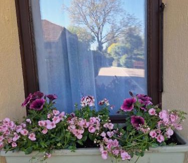 Astarac Arros en Gascogne Apartment | Le Clairat