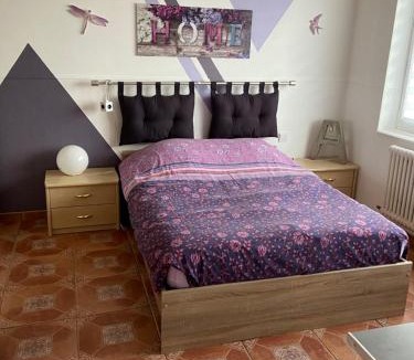 Saulxures Apartment | Le CLARA 2