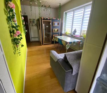 Saulxures House | Le CLARA