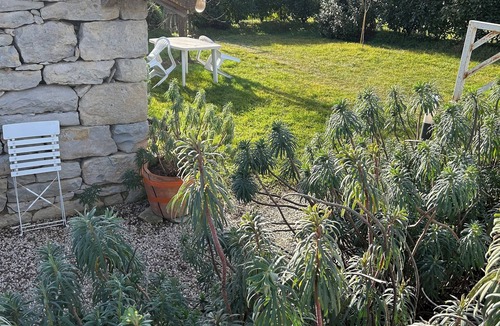 Villefranche-de-Rouergue Bed & Breakfast | Le Clos du Mûrier is located in the countryside on the GR 36, close to the golf course,