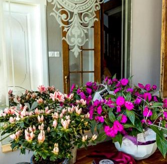 Flexbourg Bed & Breakfast | Le Clos d'Azel MAISON D'HOTES