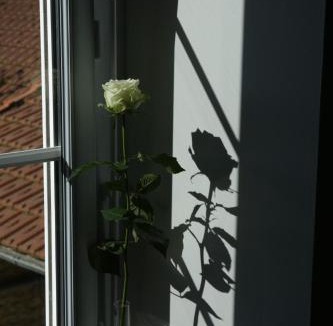 Esquay-sur-Seulles Bed & Breakfast | Le Clos d'Esquay, Côté Seulles