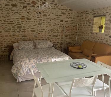 Saint-Jean-de-Thouars Apartment | Le clos de Tilio