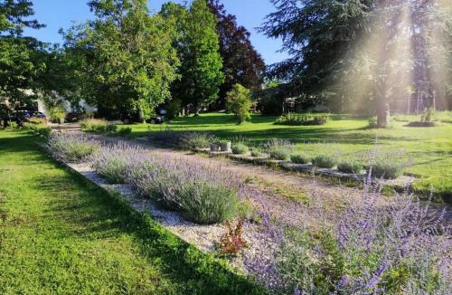 Amboise Bed & Breakfast | Le Clos de la Commanderie