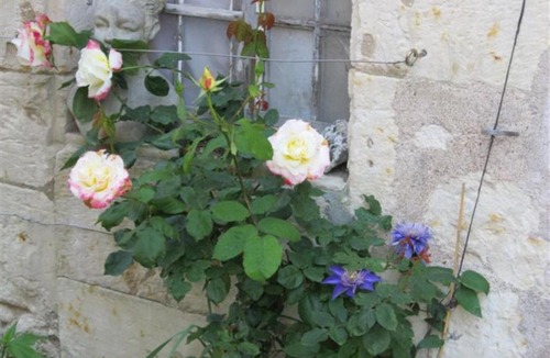 Anche Bed & Breakfast | Le Clos de la Garde