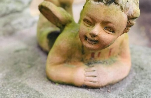 Carcassonne House | Le Clos de la Tour - CARCASSONNE