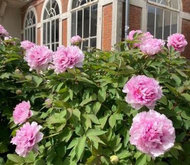 Mellecey Bed & Breakfast | Le Clos de Marguerite