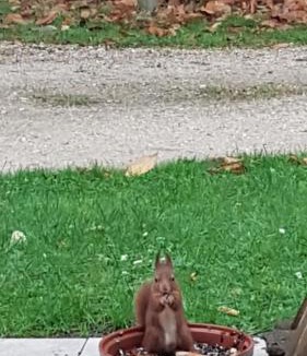 Vouzon Bed & Breakfast | Le Clos des Écureuils