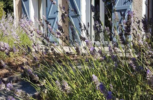 Cuxac-Cabardes House | Le Clos des Lavandes