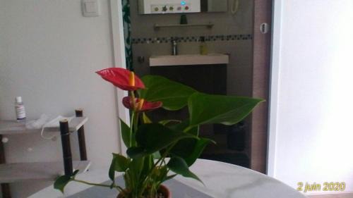 Saint-Pierre-du-Mont House | Le Clos des Palombes WIFI CLIMATISATION