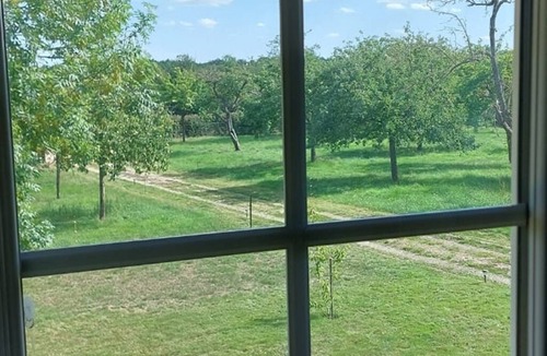 Landepereuse House | Le clos des pommiers Pretty Norman house and orchard
