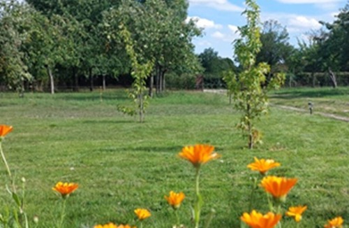 Landepereuse House | Le clos des pommiers Pretty Norman house and orchard