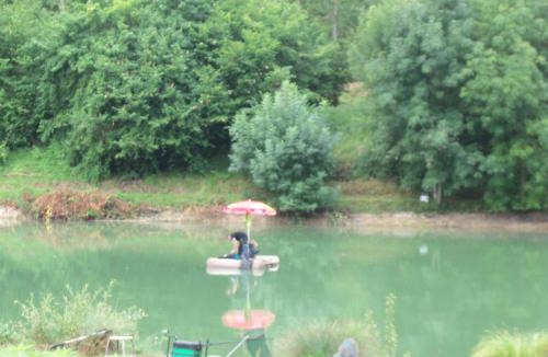 Belmontet House | Le Clos des Romarins Gîte CAMELIA